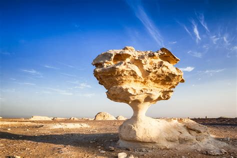 The Mushroom Of White Desert Stock Photo - Download Image Now - iStock