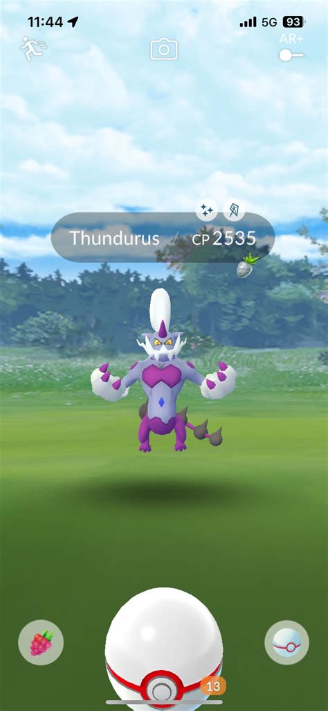 First thundurus raid and got a shiny!! : r/pokemongo