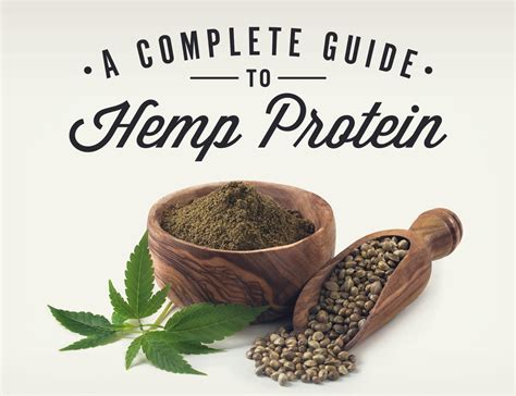 A Complete Guide To Hemp Protein | Onnit Academy