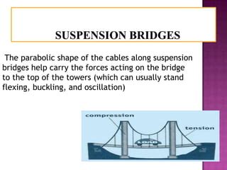 Applications of parabola | PPT