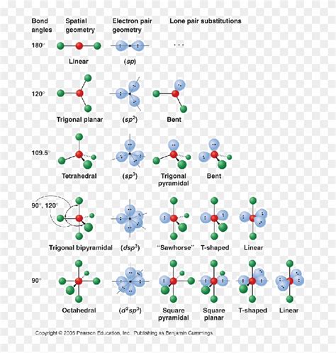 Steric Number - Hybridization And Bond Angles, HD Png Download - 686x803(#3899361) - PngFind