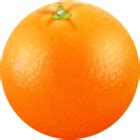 Orange Fruit PNG Clip Art Image | Gallery Yopriceville - High-Quality Free Images and ...