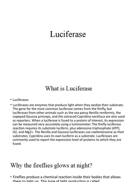 Luciferase | PDF | Luciferase | Life Sciences