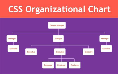 CSS Organization Chart WebNots 11700 | Hot Sex Picture