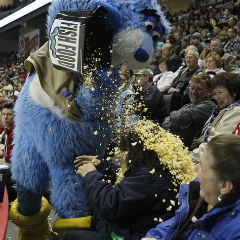 Toledo Walleye vs. Reading - The Blade