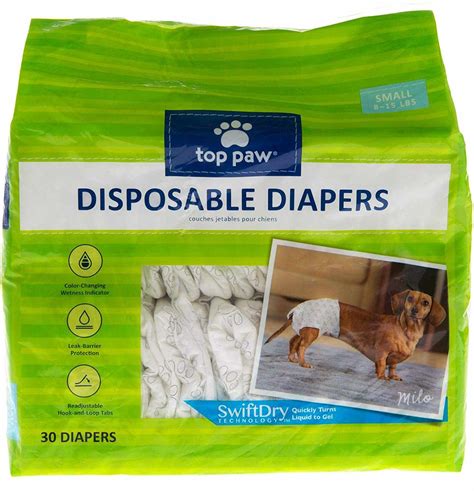 The 10 Best Dog Diapers of 2022 | by The Spruce Pets