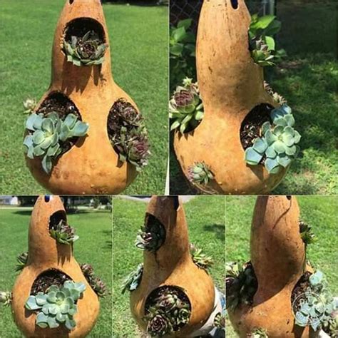 Pin by Mariamachado on artezanato | Gourds crafts, Gourds, Painted gourds