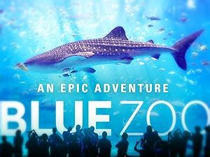 Watch Blue Zoo | Prime Video