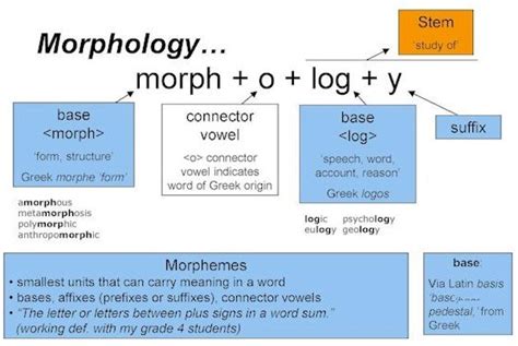 Morphology (linguistics)- Glossary Term 5