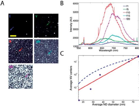 Fluorescence characterization of irradiated nanodiamond fi lms. (A)... | Download Scientific Diagram