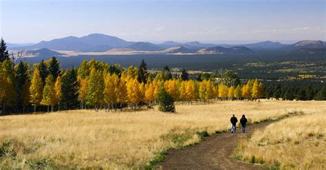 Top 7 Places for Fall Foliage - Discover Flagstaff