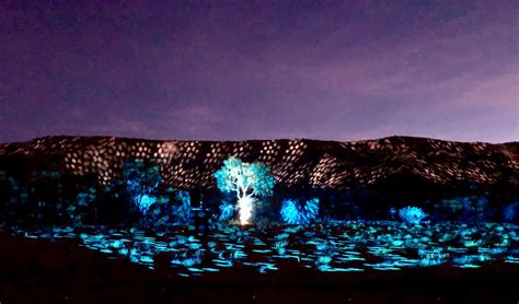 Alice Springs desert park light show stunning : r/australia