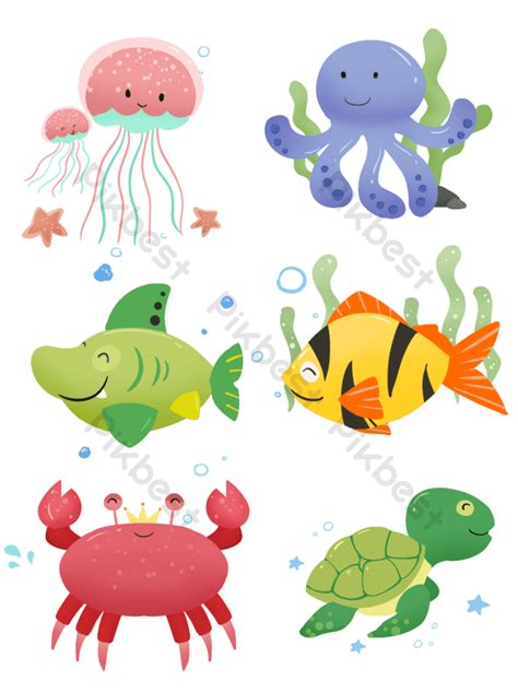 Hd Marine Animal Pictures PNG Images | PSD Free Download - Pikbest