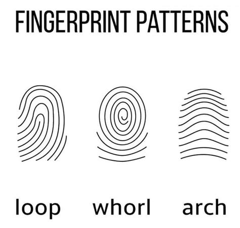 How to Do a Kids' Forensics Fingerprint Activity | Kids fingerprints, Forensics, Science for kids