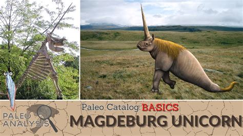 Paleo Catalog Basics: Magdeburg Unicorn - YouTube