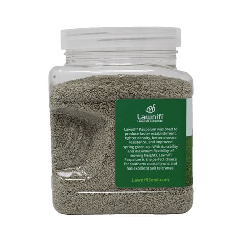 Lawnifi Paspalum Seed - Lawnifi