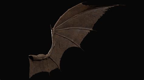 Bat Wings (C4D) - 3D Model by QUARTOMUNDO