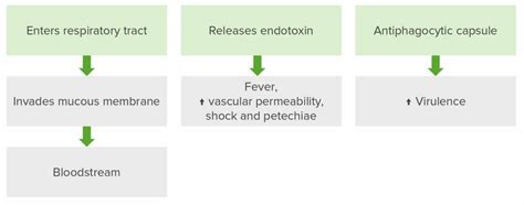 Neisseria | Concise Medical Knowledge