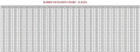 Rabbit Gestation Calculator & Chart {Printable} - Livestocking