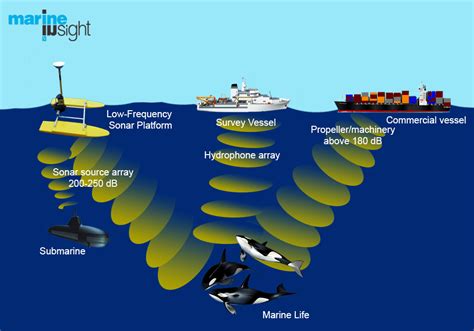 Effects of Noise Pollution from Ships on Marine Life