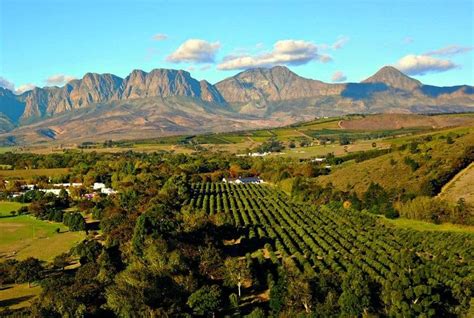 Stellenbosch Wine Farm Itineraries | Stellenbosch, Africa travel, South ...