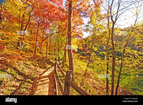 Brown county state park indiana hi-res stock photography and images - Alamy