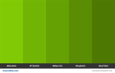 Green shades 5 colors. HEX colors #80c904, #73b504, #66a103, #5a8d03, #4d7902. Brand original ...