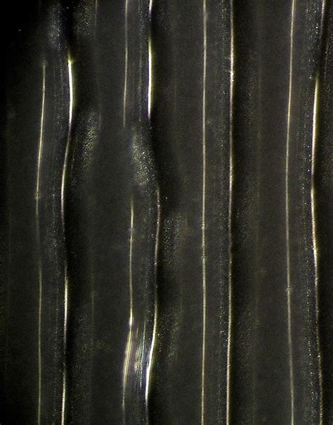 Vinyl Record Grooves Magnified 1,000x - DAK Industries