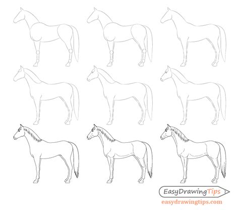 How To Draw A Horse Step By Step