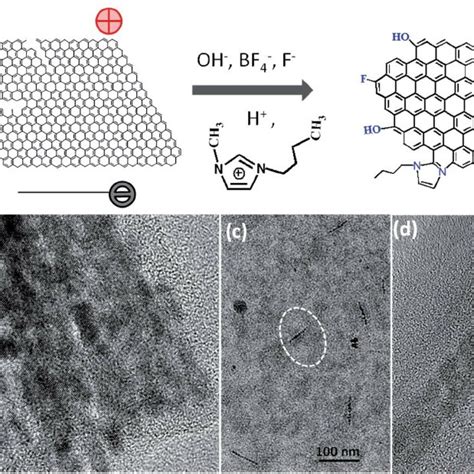 Electron microscopy images of high quality of graphene quantum dots... | Download Scientific Diagram