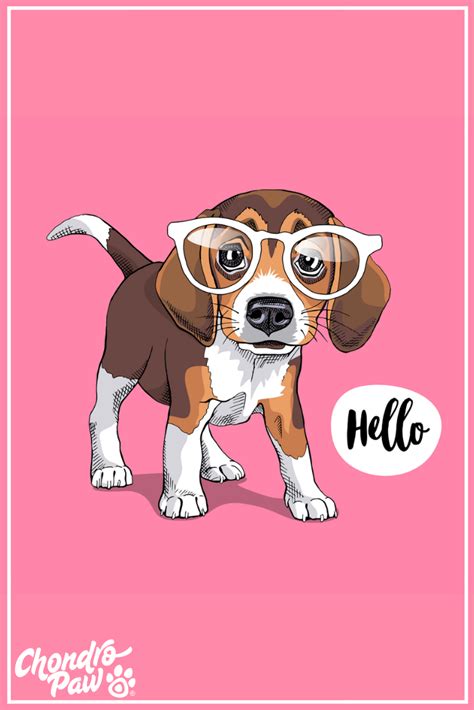 Puppy Beagle in a glasses on a pink background. Baby Beagle, Beagle Art, Beagle Puppy, Puppy ...