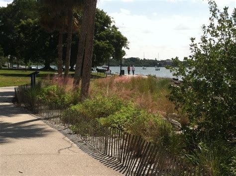 Bayfront Park (Sarasota County) | Florida Living Shorelines