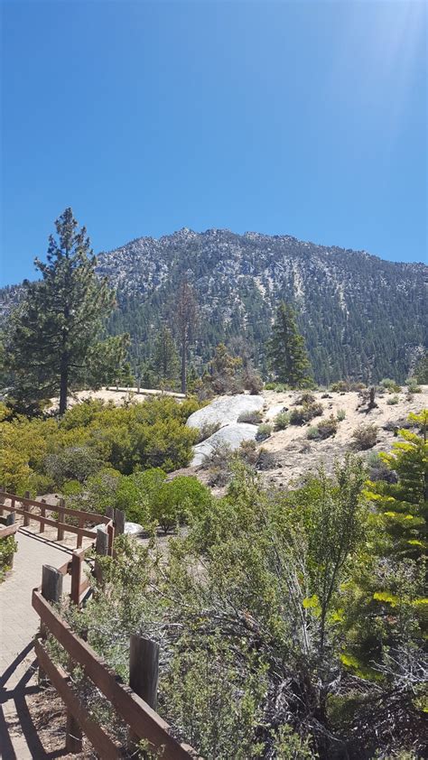 Sand Harbor Nature Trail - Nevada | AllTrails