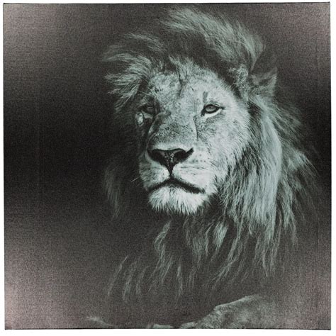 Lion Canvas | Home | PEP