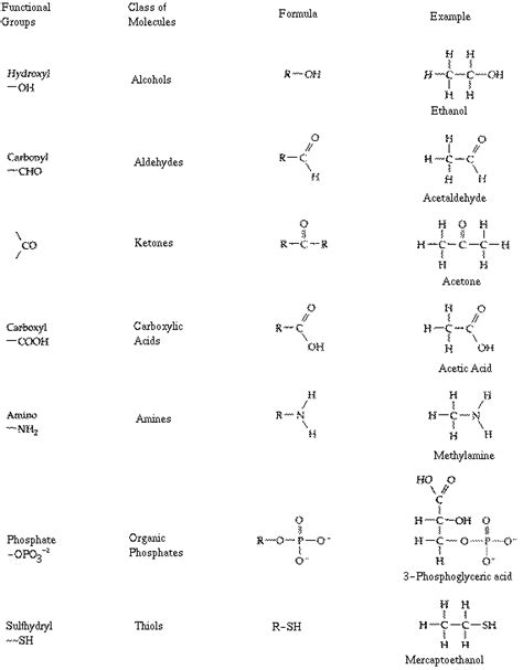 Organic Chemistry Functional Groups