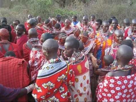 Maasai Wedding Ceremony 2010 Supukuu Enkiama - YouTube