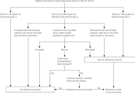 Iron Deficiency Anemia: Evaluation and Management | AAFP