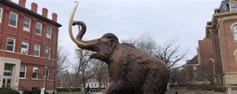 Our Mammoth History - INSIDER