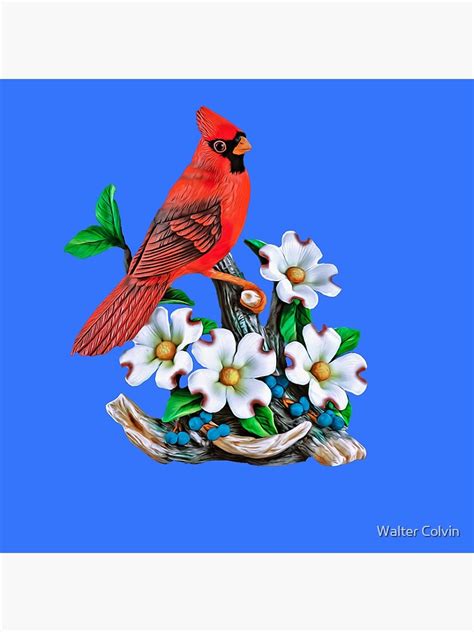 "North Carolina State Bird and Flower," Photographic Print by Skyviper | Redbubble