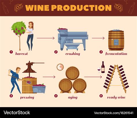 Wine production process cartoon flowchart Vector Image