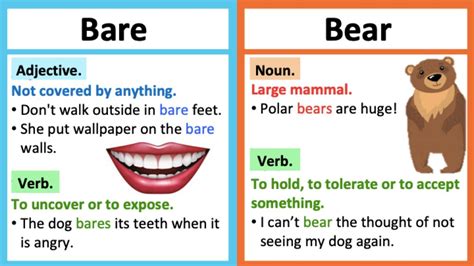 BARE vs BEAR 🤔| What's the difference? | Learn with examples - YouTube