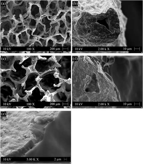 Antibacterial 45S5 Bioglass®-based scaffolds reinforced with genipin cross-linked gelatin for ...