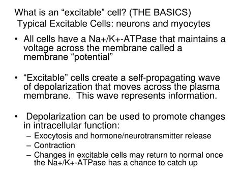 PPT - What are the other three primary tissue types? 9/25 PowerPoint Presentation - ID:1590159