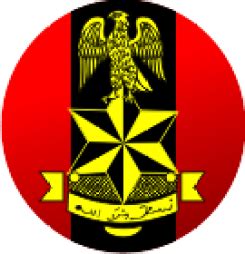 Nigerian Troops avert another suicide attack in Borno | NTA.ng ...