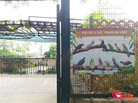 Kowloon Park and Children's Playground - Little Monkey Hong Kong | Child-Friendly Places To Go