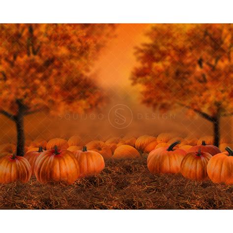 Pumpkin Patch Fall Digital Backdrop – Squijoo.com