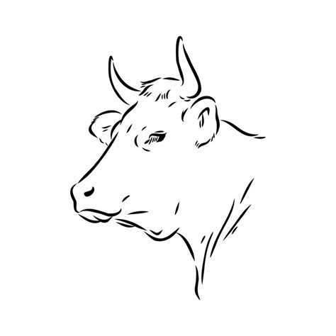 cow vector sketch 7312166 Vector Art at Vecteezy