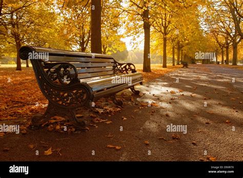 An autumn scene, Greenwich Park, London, UK Stock Photo - Alamy