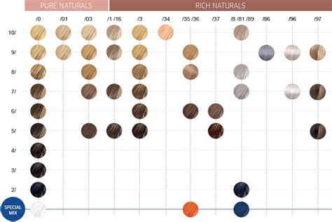 Cinemática Raridade manipular wella color chart elite entrada amanhecer