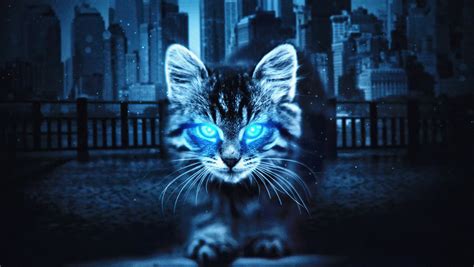 1360x768 Cat Glowing Eyes 4k Laptop HD ,HD 4k Wallpapers,Images,Backgrounds,Photos and Pictures